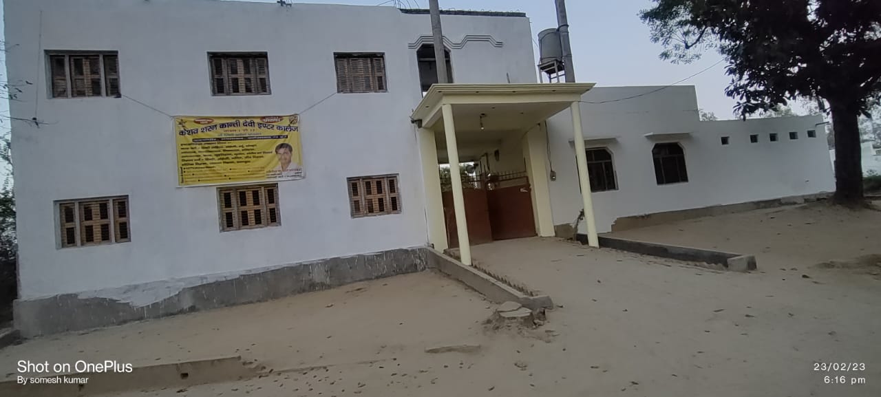 Image-4